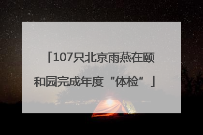 107只北京雨燕在颐和园完成年度“体检”