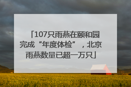 107只雨燕在颐和园完成“年度体检”，北京雨燕数量已超一万只