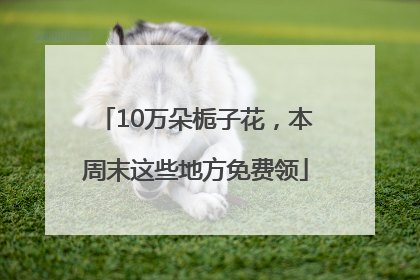 10万朵栀子花，本周末这些地方免费领