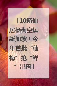 10箱仙居杨梅空运新加坡！今年首批“仙梅”抢“鲜”出国