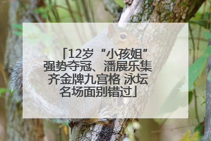 12岁“小孩姐”强势夺冠、潘展乐集齐金牌九宫格 泳坛名场面别错过
