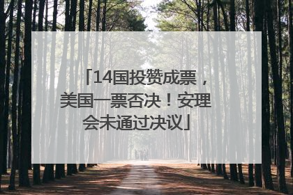 14国投赞成票，美国一票否决！安理会未通过决议