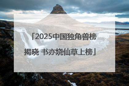 2025中国独角兽榜揭晓 书亦烧仙草上榜