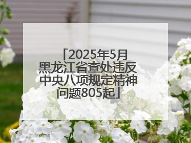 2025年5月黑龙江省查处违反中央八项规定精神问题805起