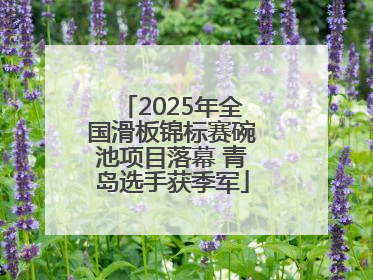 2025年全国滑板锦标赛碗池项目落幕 青岛选手获季军