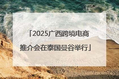 2025广西跨境电商推介会在泰国曼谷举行