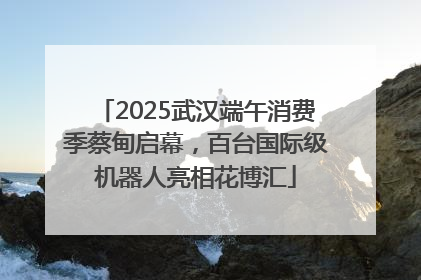 2025武汉端午消费季蔡甸启幕，百台国际级机器人亮相花博汇