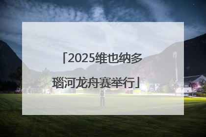 2025维也纳多瑙河龙舟赛举行