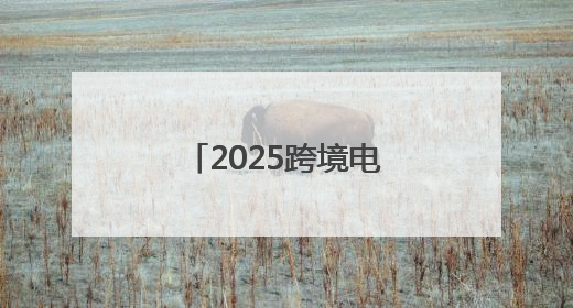 2025跨境电商行业发展交流会在郑州举行