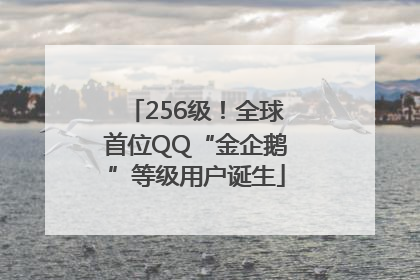 256级！全球首位QQ“金企鹅”等级用户诞生