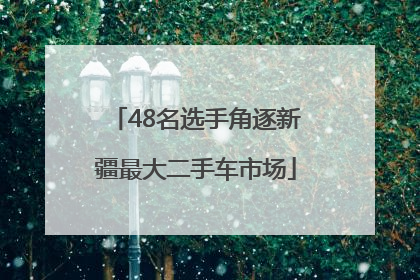 48名选手角逐新疆最大二手车市场