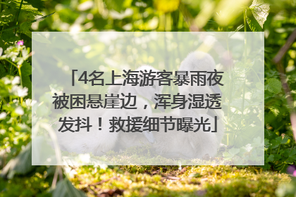 4名上海游客暴雨夜被困悬崖边，浑身湿透发抖！救援细节曝光