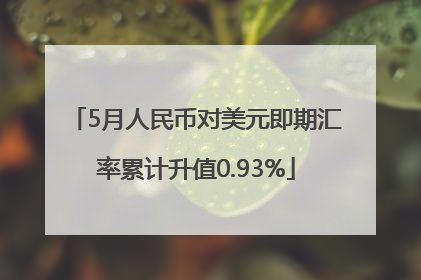 5月人民币对美元即期汇率累计升值0.93%