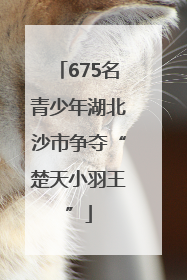675名青少年湖北沙市争夺“楚天小羽王”