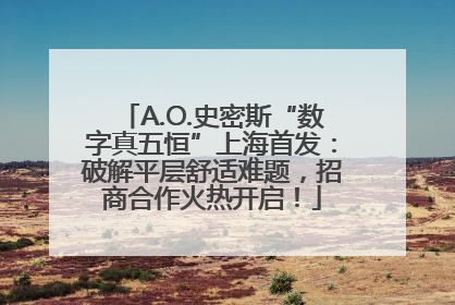 A.O.史密斯“数字真五恒”上海首发：破解平层舒适难题，招商合作火热开启！
