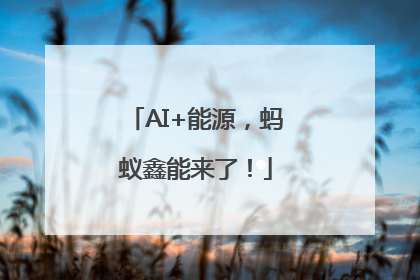 AI+能源，蚂蚁鑫能来了！