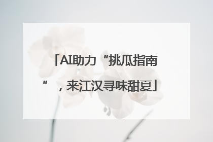 AI助力“挑瓜指南”，来江汉寻味甜夏