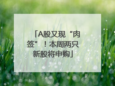 A股又现“肉签”！本周两只新股将申购