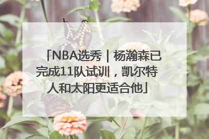 NBA选秀｜杨瀚森已完成11队试训，凯尔特人和太阳更适合他